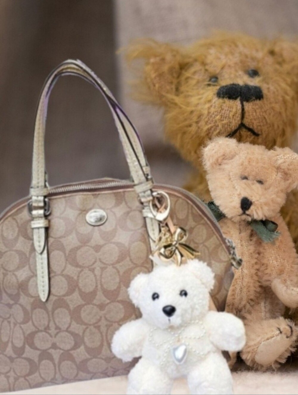 COACH PEYTON SIGNATURE CORA DOME SATCHEL
